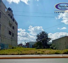 TERRENO EJIDAL EN VENTA, AV. LAS TORRES, BUENAVISTA